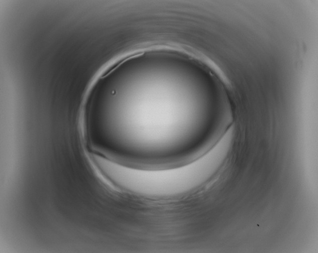 X0000113851516200910010950