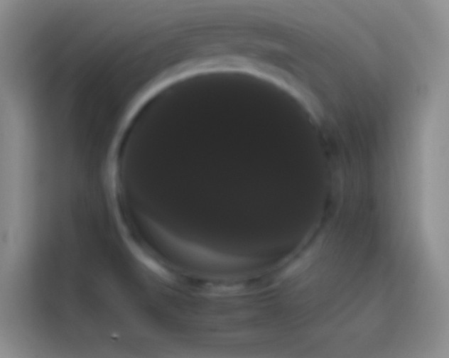 X0000113851519200910010950