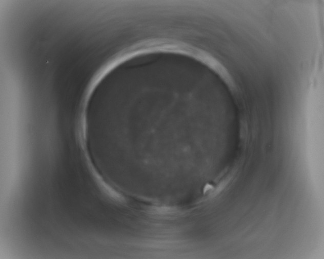 X0000113851520200910010950