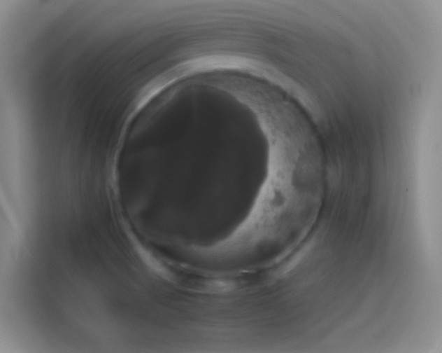 X0000113851521200910010950