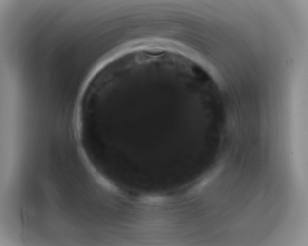 X0000113851522200910010950