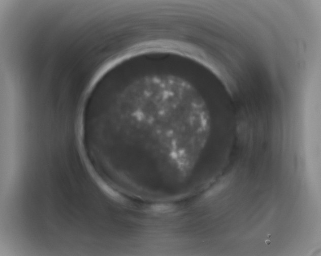 X0000113851523200910010950