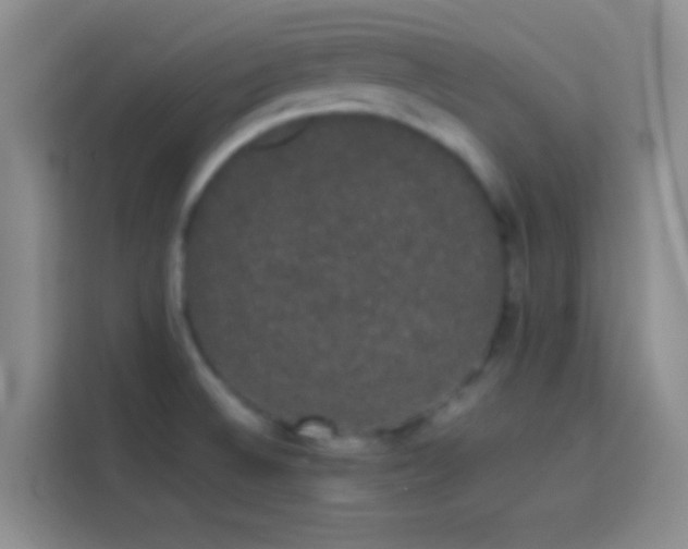 X0000113851524200910010950