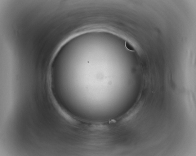 X0000113851526200910010950