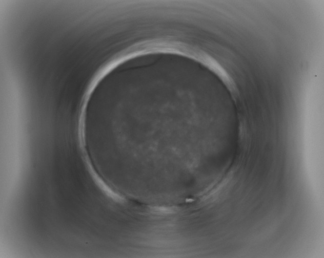 X0000113851528200910010950