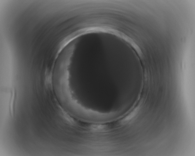 X0000113851529200910010950