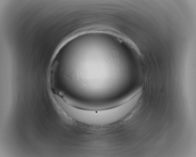 X0000113851530200910010950