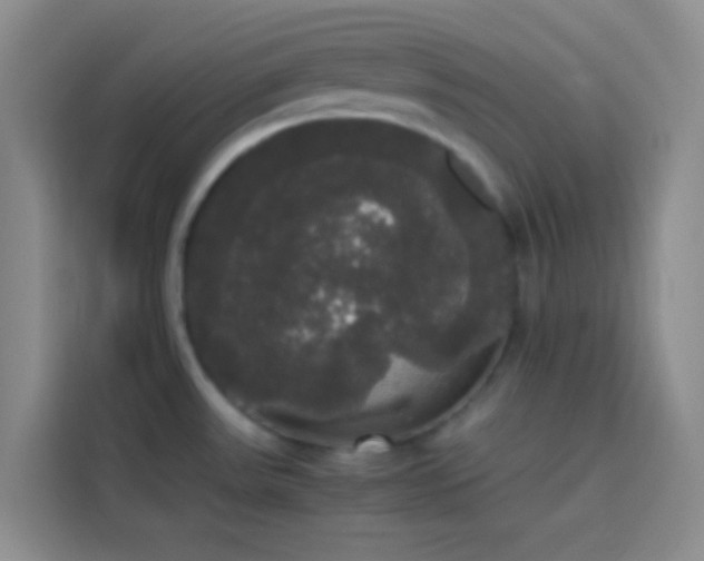 X0000113851531200910010951