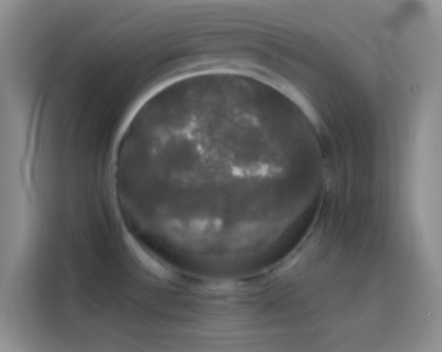 X0000113851532200910010951