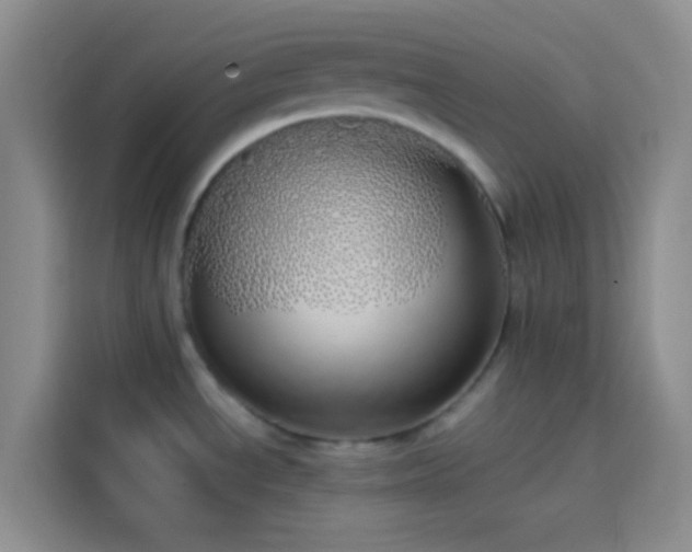 X0000113851534200910010951