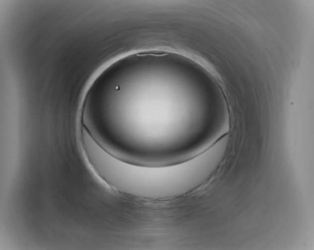 X0000113851536200910010951