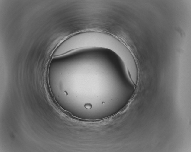 X0000113850001200910081655