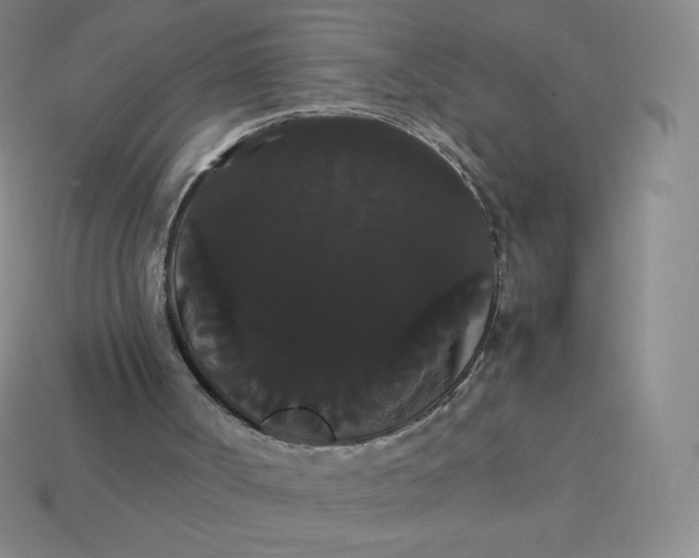 X0000113850002200910081655