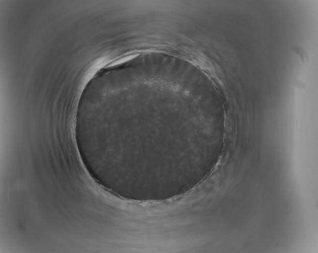 X0000113850003200910081655