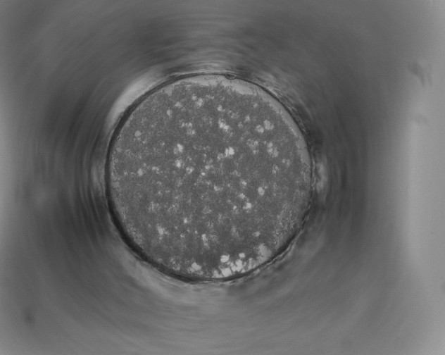 X0000113850004200910081655