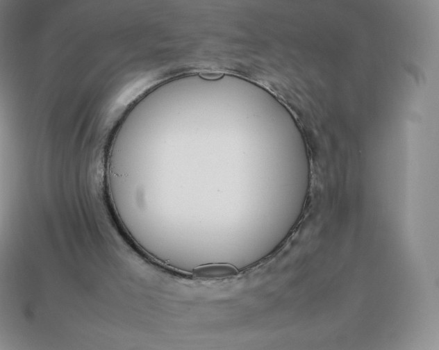 X0000113850005200910081655