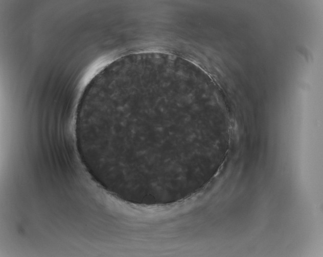 X0000113850006200910081655