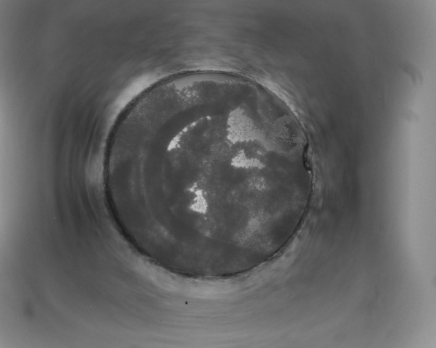 X0000113850008200910081655