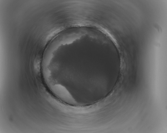 X0000113850010200910081655