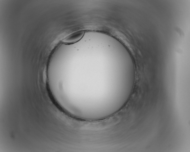 X0000113850011200910081655