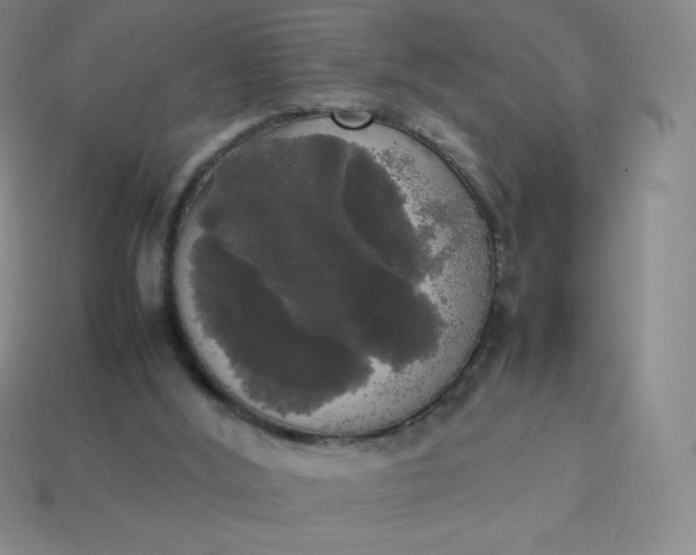 X0000113850012200910081655