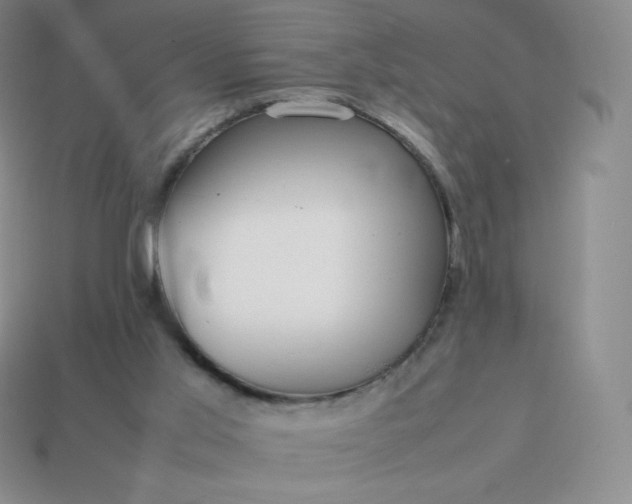 X0000113850013200910081655