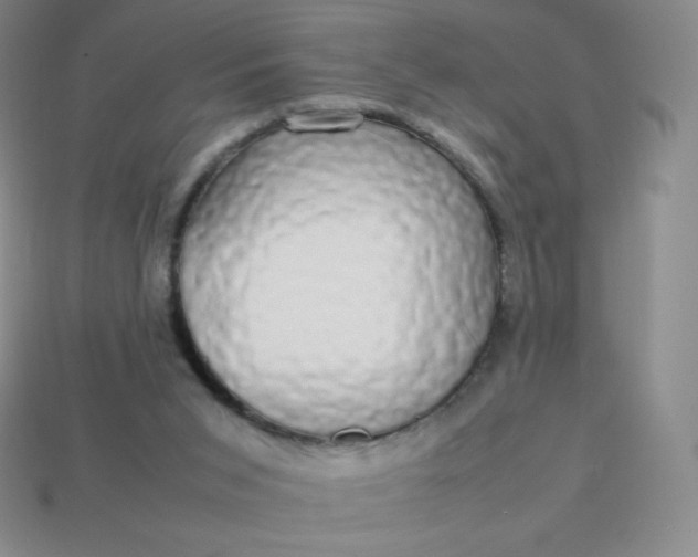 X0000113850015200910081655