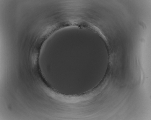 X0000113850018200910081655