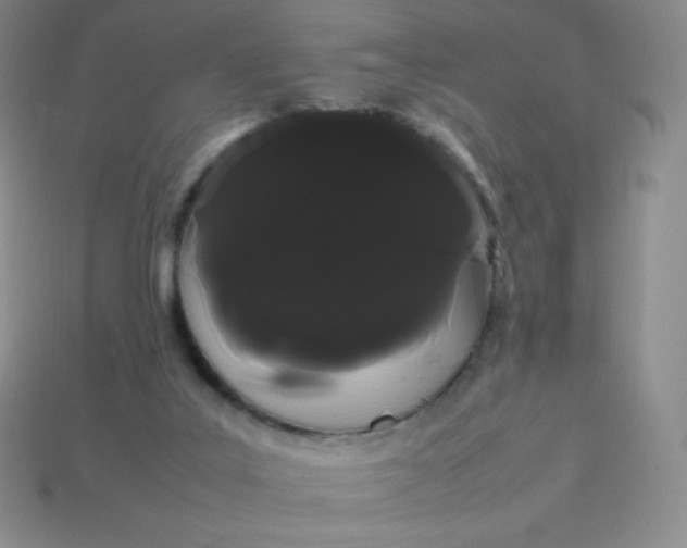 X0000113850019200910081655