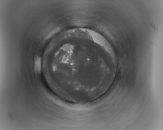 X0000113850020200910081655