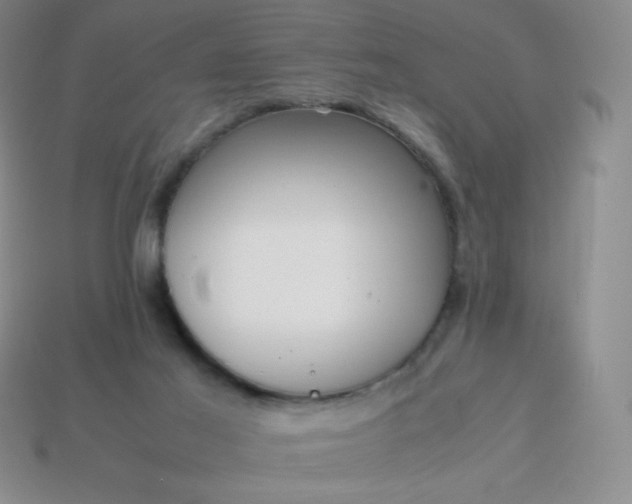 X0000113850021200910081655