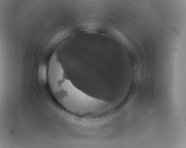 X0000113850022200910081655