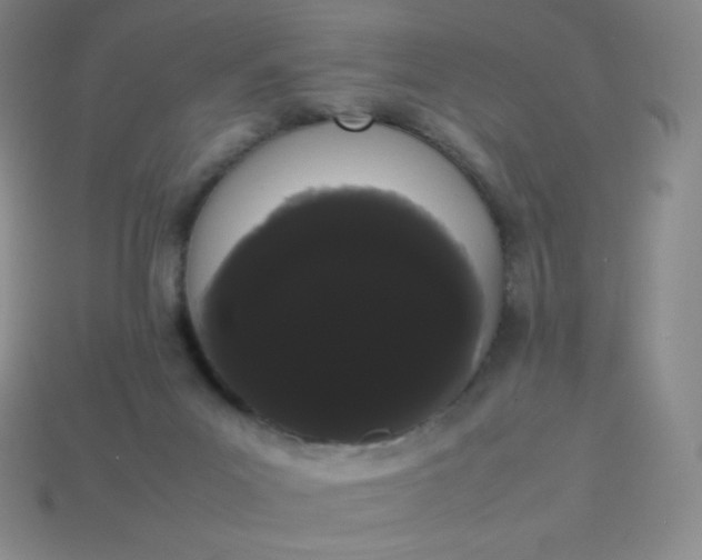 X0000113850023200910081655