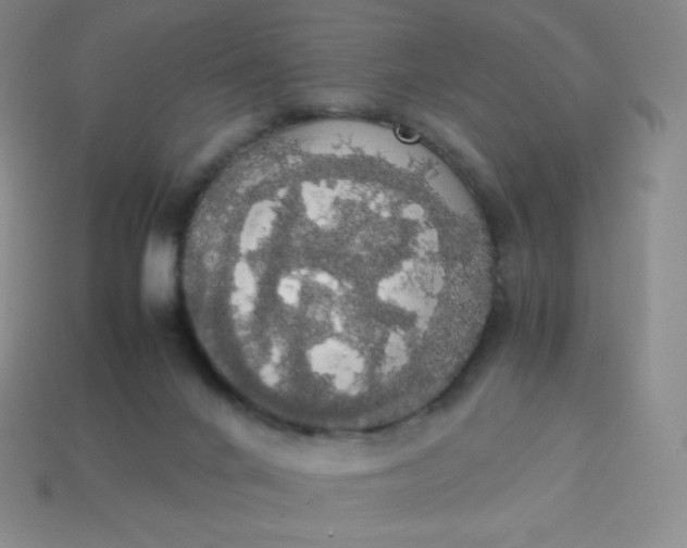 X0000113850024200910081655