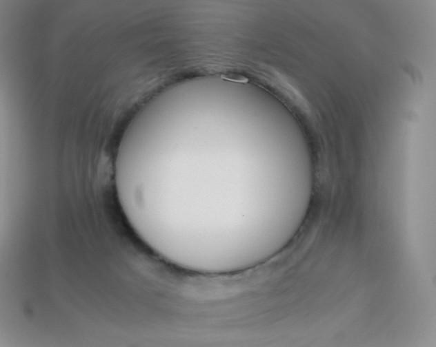 X0000113850025200910081655