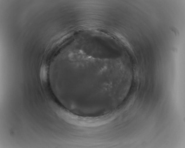 X0000113850026200910081655