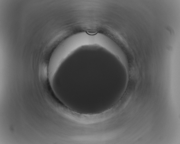 X0000113850027200910081655