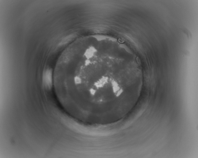 X0000113850028200910081655