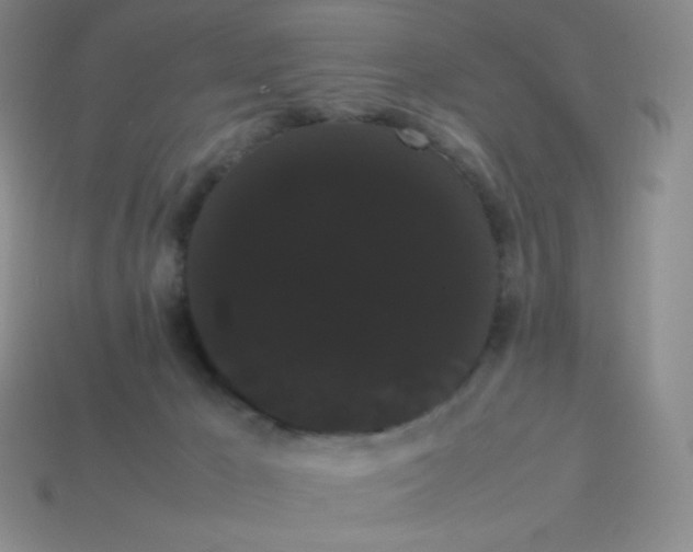 X0000113850029200910081655