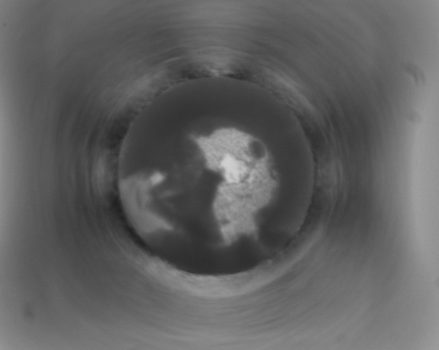 X0000113850030200910081655