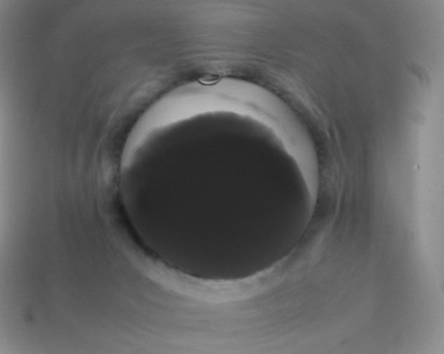 X0000113850031200910081655