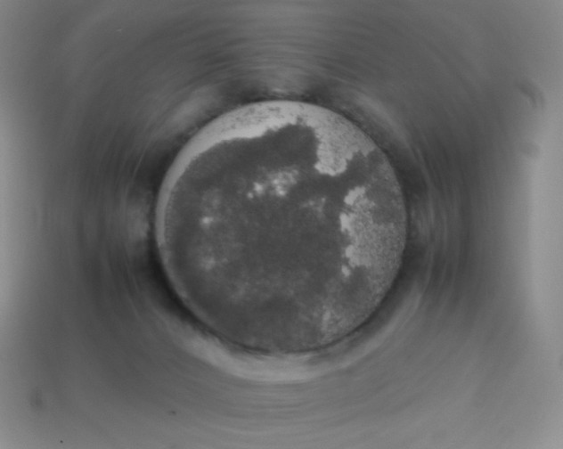 X0000113850032200910081655