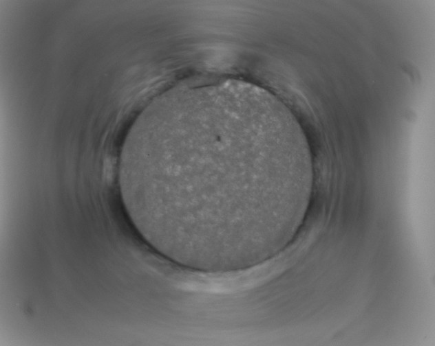 X0000113850033200910081655