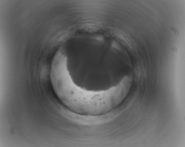 X0000113850034200910081655