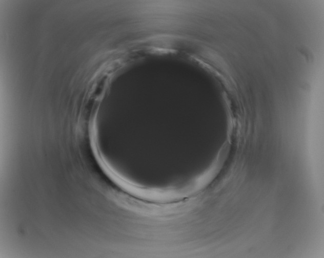 X0000113850035200910081655