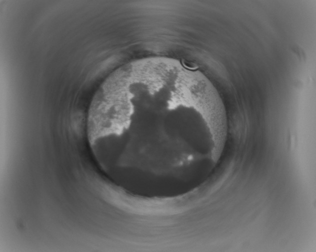 X0000113850036200910081655