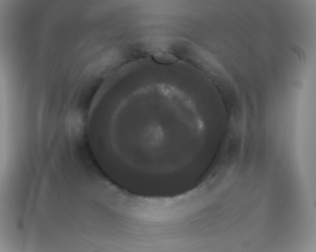 X0000113850037200910081655