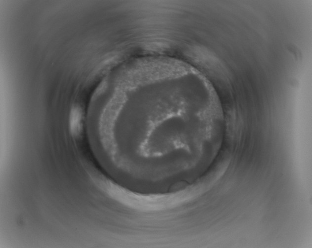 X0000113850038200910081655