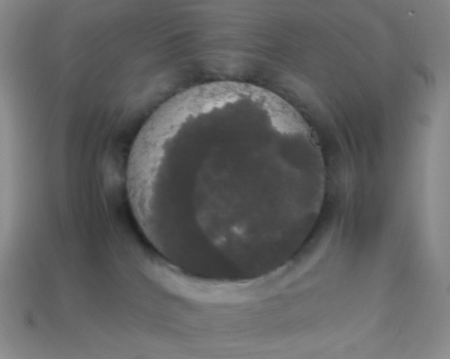 X0000113850040200910081655