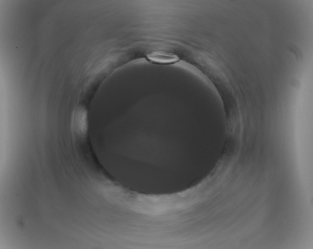 X0000113850041200910081655